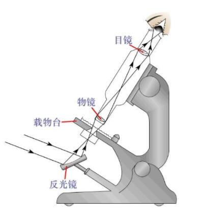 1.jpg 偏光显微镜的工作原理及应用介绍